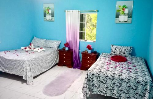 Tower Isle House | Modern Oasis near Dunns River Falls