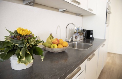 Heimbach Apartment | Modern Penthouse with Sauna