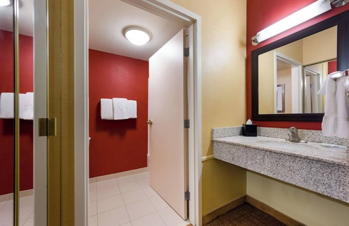 Novi Hotel | Modern Space, Ergonomic Workspace, Swimming Pool, and Pet-Friendly Stay