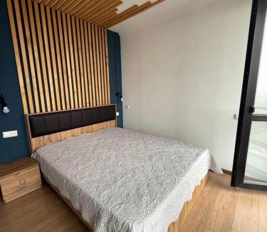 Bakuriani Apartment | Modern Studio in Hotel Mgzavrebi Block 9 Mountain View