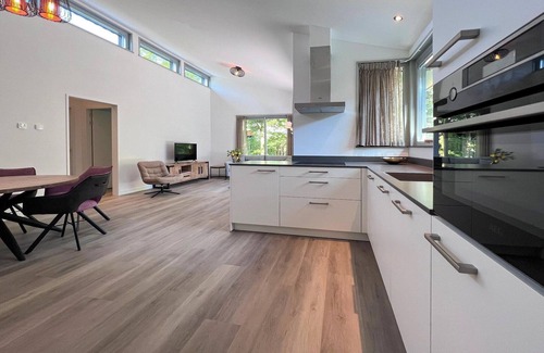 Dirkshorn House | Modern villa with terrace and garden in Dirkshorn