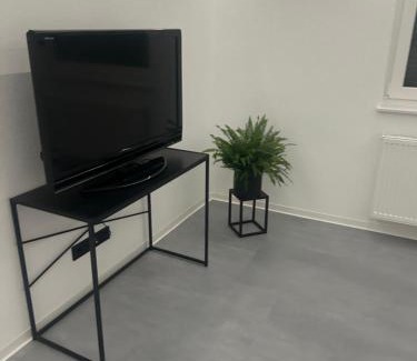 Bad Rappenau Apartment | Modernes Appartement mit Frühstück