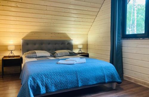 Cisna Ski Chalet | Modrynowe Domki