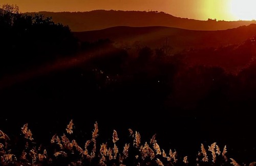 San Quirico d'Orcia Apartment | Molino della Tuoma