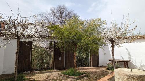 Salar House | Molino Viejo de Salar