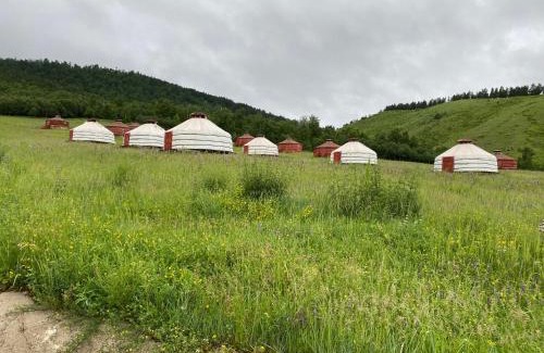Tov Resort | Mongolian Secret History camp