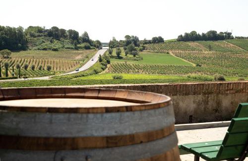 Vinci House | Monna Caterina Wine Resort