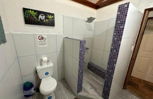 Cahuita House | Mono Azul Cahuita