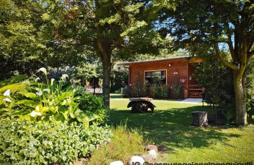 Panguipulli Apartment | Monoambiente Panguipulli