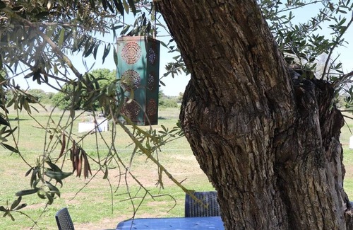 Evora Cottage | Monte das Cobras Coutry House