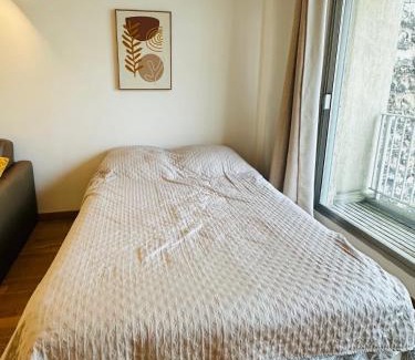 Necker Apartment | Montparnasse Duroc Paris