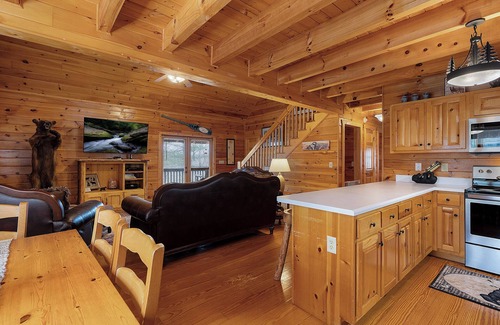 Ellijay Cabin | Moosin' Around Ellijay GA