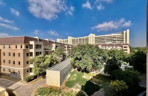 Motor City Apartment | Motor City Shakespeare Circus