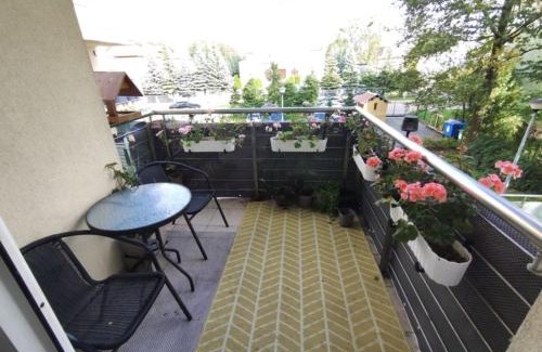 Baluty Apartment | Motylowa Przystań