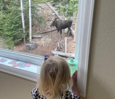 Alma Ski Chalet | Mountain View Family Cabin, Pet Friendly and Hot Tub