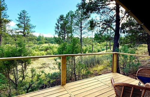 McIntosh Cabin | Mountain Views & Family Glamping Retreat