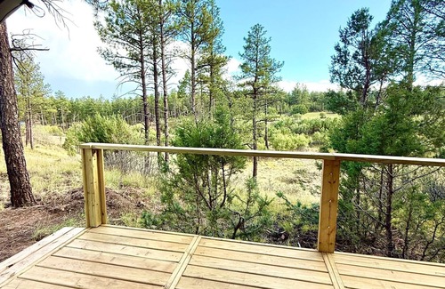 McIntosh Cabin | Mountain Views & Family Glamping Retreat
