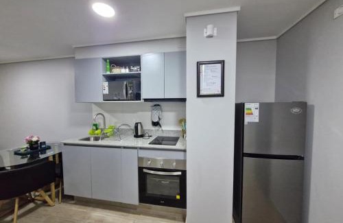 Downtown Santiago Apartment | Movistar Arena - Ohiggins Park - Parking