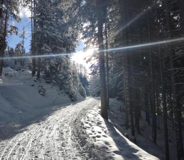 Wattenberg Apartment | Much`s Bergstüberl