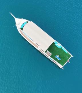 Dibba Boat Rental | Musandam Starlight Dhow Cruise