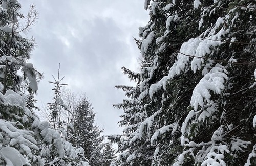 Bracebridge Cabin | Muskoka Getaway Cabin - relax, snowshoe, cross country ski and unwind