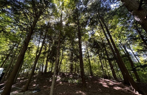 Torrance RV Rental | Muskoka Glamping Structure 2