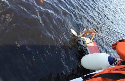 Centro Boat Rental | MV Desafio