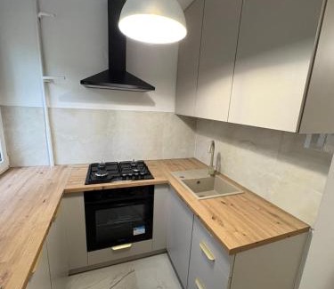 Konin Apartment | MW Leo Apartament