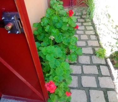 Analavory Apartment | My Little House