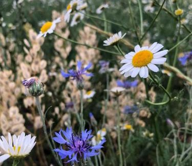 Biskupice-Pulkov Apartment | Na Věčnosti