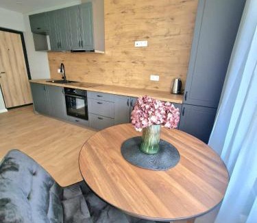 Plunge Apartment | Namų mūza "B" SELF CHECK IN