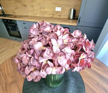 Plunge Apartment | Namų mūza "B" SELF CHECK IN