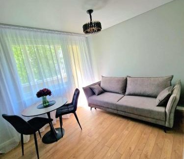 Plunge Apartment | Namų mūza "B" SELF CHECK IN