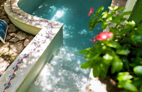 Merida Municipality House | Nardo room. House of Flowers