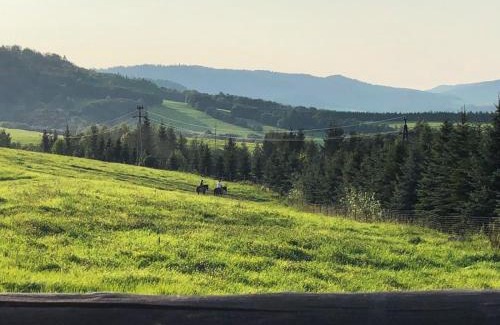 Baligrod House | NATURA PARK BIESZCZADY - DOMKI CAŁOROCZNE