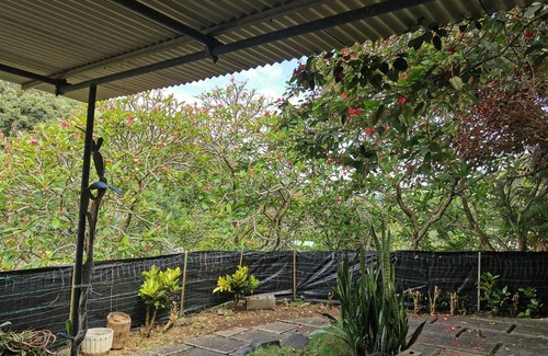 Papeete Apartment | Nature Calme