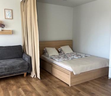 Siauliai County Apartment | Naujoji Akmene Center Apartment