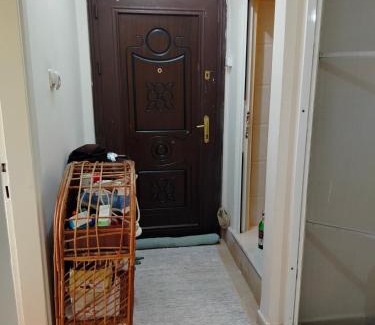 Mezetli Apartment | Nehir home