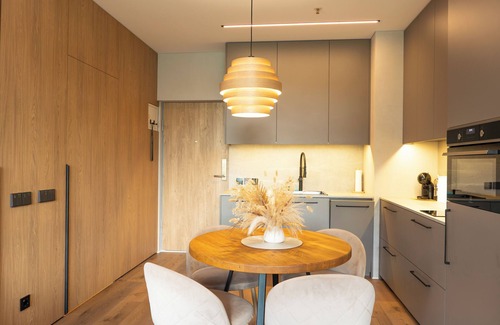 Druskininkai Apartment | Nemunas Aparthotel