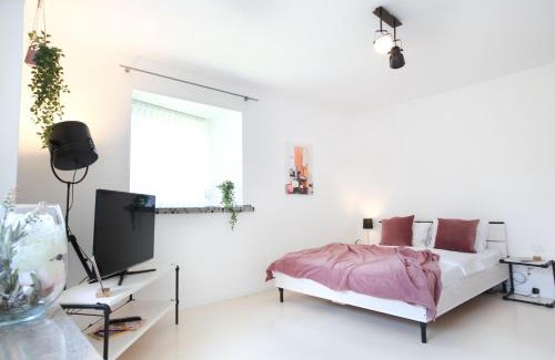 Unterstrass Apartment | Nest - Wehntalerstrasse 13