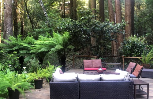 Mill Valley House | Nestled in the Redwoods, Easy Walk Downtown, Close to SF and Wine Country