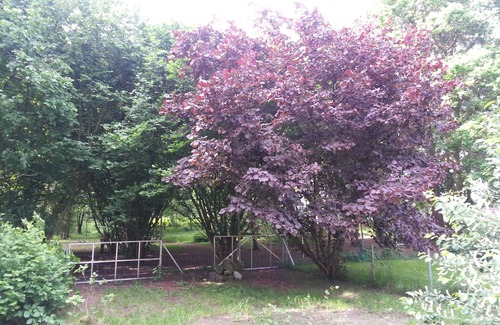 Geestland Apartment | NEW 2015: apartment with 8000 sqm dog walkers, in Cottage, upper floor, 45sqm