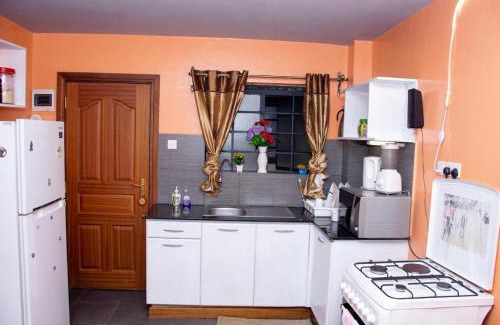 Ngara West Apartment | NEW-ELEGANT CITY VIEW MVULI STUDIOs