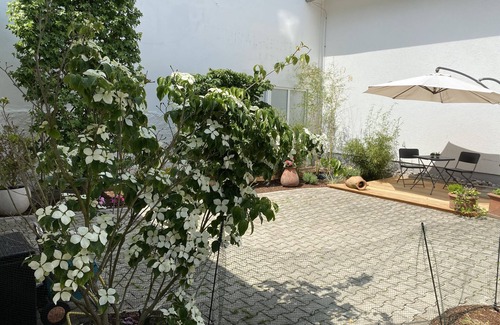 Brilon Apartment | New! "Glockenstuhl" large (95 sqm) luxury apartment in the heart of Brilon