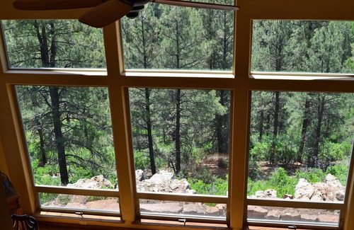 Pagosa Springs House | New-ish 3 BR house on canyon ridge/Borders Forest/31 windows- 3 miles from town