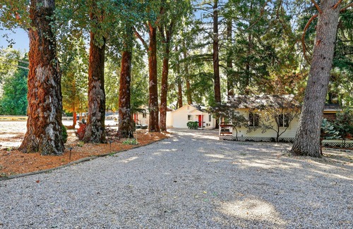 Cobb Apartment | NEW! Rouge Cobb Mountain Hotel - Cabin 2