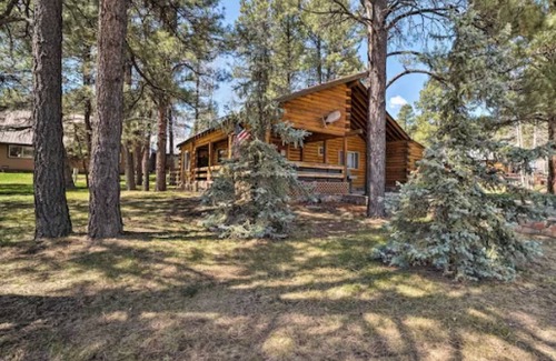 Pagosa Springs House | NEW The Wolf Den in Pagosa Springs