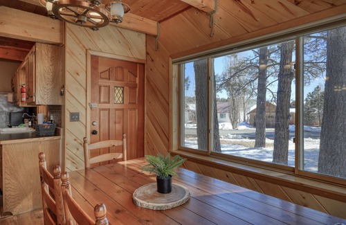 Pagosa Springs House | NEW The Wolf Den in Pagosa Springs