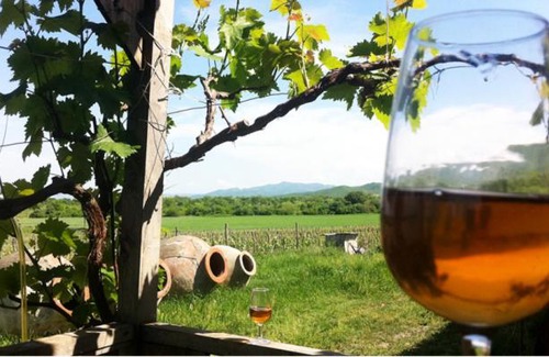 Grigoleti Apartment | New Wave