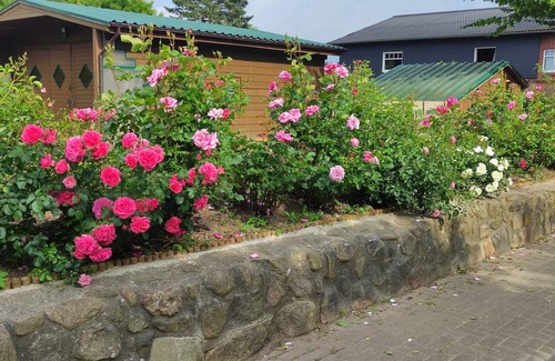 Garbek House | New Year's Eve with a pet? Quiet in "Dat lütte Huus"